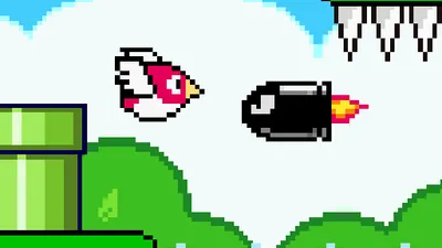 Bird Quest Adventure