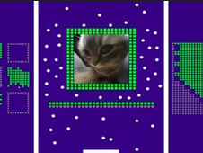 Chipi Cat Brick Breaker - 3D Arcade Game