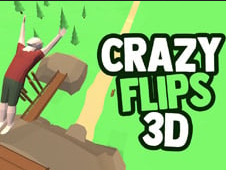 Crazy Flips 3D Stunts