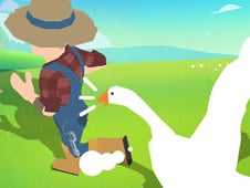 Crazy Goose Adventures