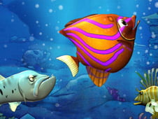 Feeding Frenzy Classic