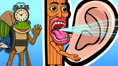 Italian Animal Voice Madness: Funny Voice Acting & Learning Game