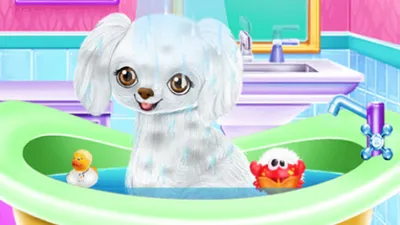 My New Poodle Friend