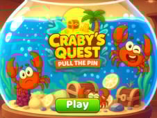 Craby's Pin Puzzle