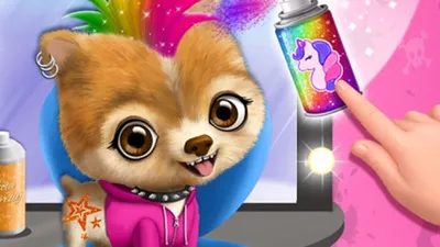 Rock Star Animal Hair Salon