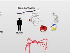 Scale of the Universe 2: Explore